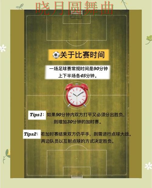 世界杯买球app新手入门规则解析，常见误区盘点