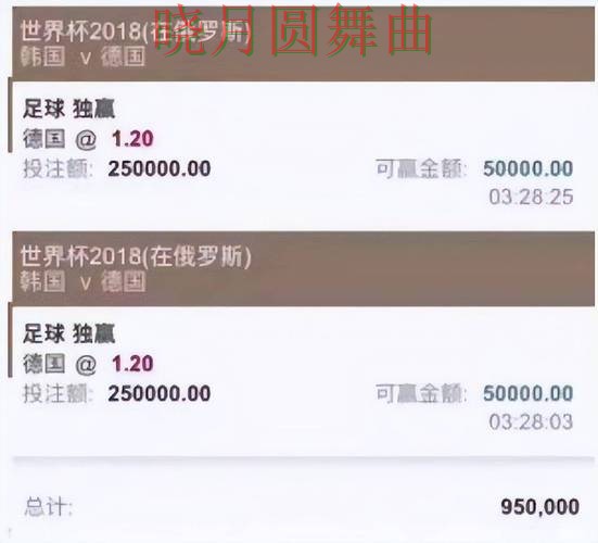 世界杯投注平台专题页面哪些信息更值得先看